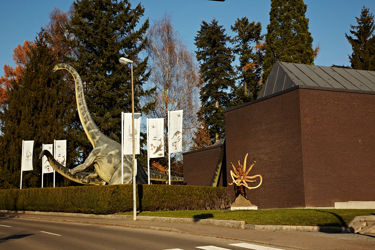 URWELT-MUSEUM HOLZMADEN